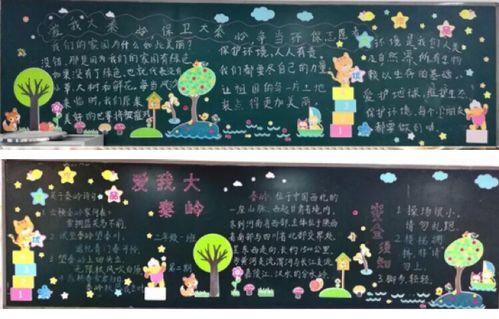 学生们以黑板报手抄报的形式认识到了保护秦岭生态的重要性.