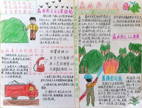河东镇大嵩小学手抄报评比比赛 写美篇     为提高学生的森林防火意识