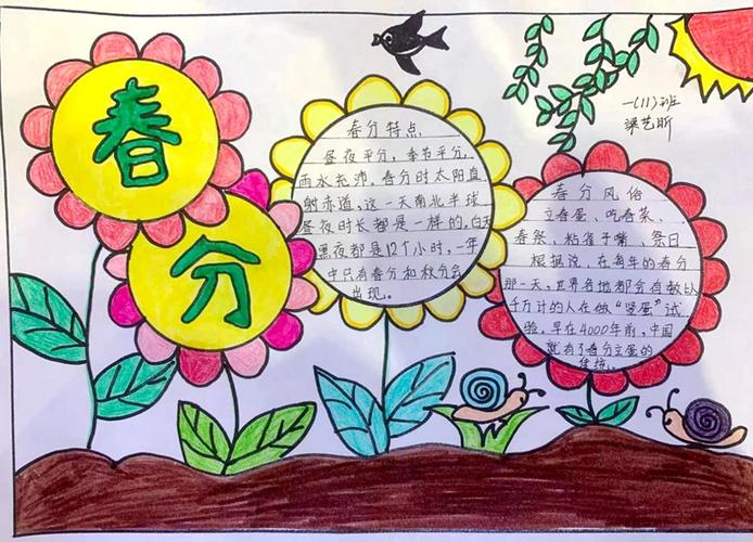 亳州市第二小学绘一幅春分手抄报为春日增添一份温暖