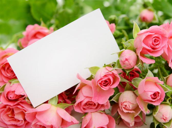 粉色玫瑰花与贺卡图片