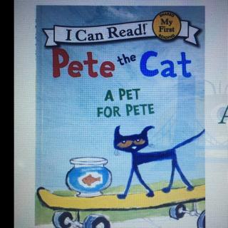 a pet for pete手抄报 word手抄报