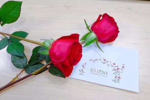 给女朋友的玫瑰花贺卡 给女朋友的贺卡