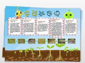 生物圈的绿色植物种子生长过程的手抄报 手抄报模板大全种子萌发过程