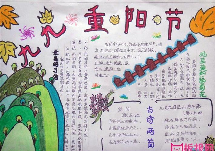 九九重阳节手抄报图片插茱萸和簪菊花的习俗