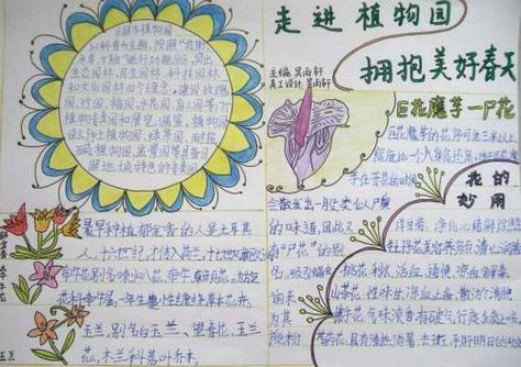 北京植物园手抄报植物手抄报