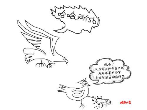 小鸡啄米简笔画卡通图片