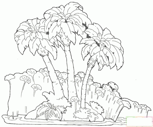 热带植物园简笔画图片