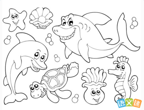 海底世界手抄报资料海洋动物简笔画