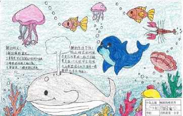 海洋动物介绍手抄报 关于海洋的手抄报