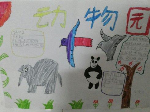 保护秦岭野生动物园的手抄报 保护动物手抄报