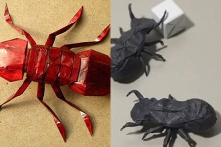 图折纸蚂蚁过程简单吗 如何快速学会这种艺术