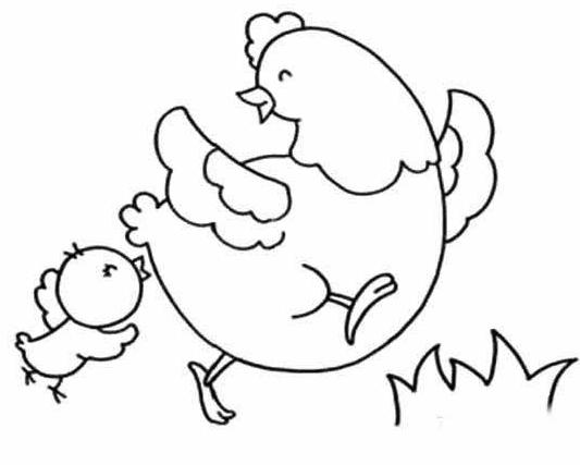 母鸡带着小鸡怎么画图片
