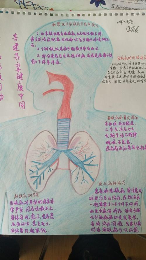 人体呼吸系统手抄报 手抄报简单又漂亮