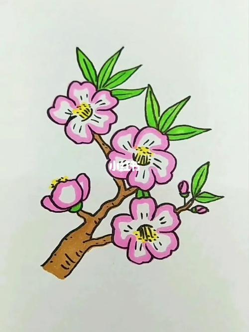 桃花的简笔画教程图片