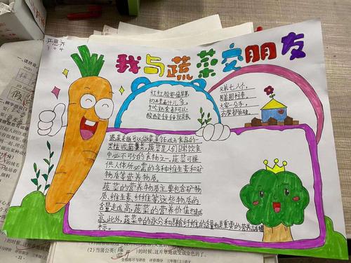 课后总结   了解了蔬菜那么多的奥秘同学们可是迫不及待地用手抄报