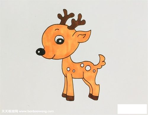 小鹿的简笔画带颜色图片