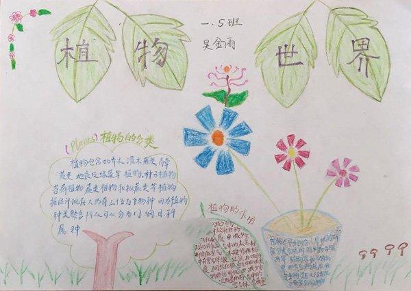 简单的生物手抄报图片植物世界画画手抄报零二七艺考