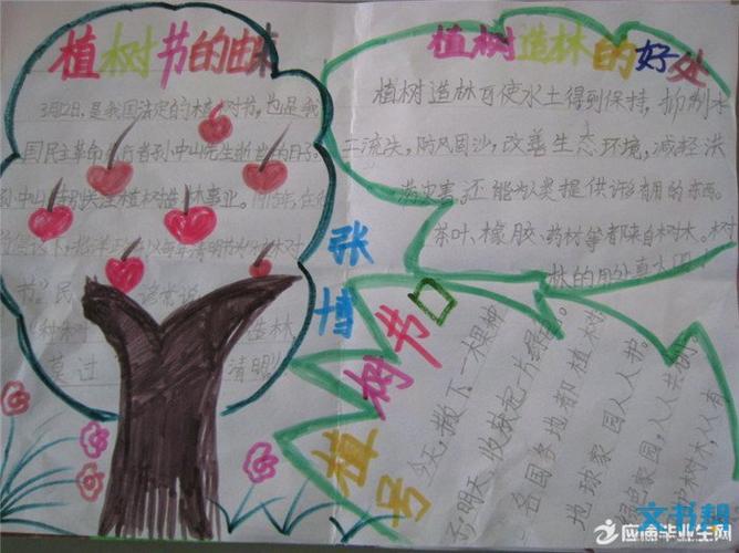 而三年级的学生要怎样做一份有关植树节的手抄报呢