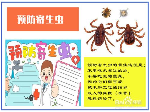 小学五年级预防寄生虫手抄报教程预防寄生虫的手抄报怎么写预防蛔虫手