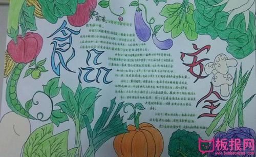 我喜欢吃的蔬菜手抄报 手抄报图片大全-蒲城教育文学网