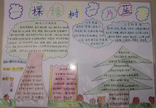 一棵绿树一片蓝天濮阳市实验小学五7班手抄报展示