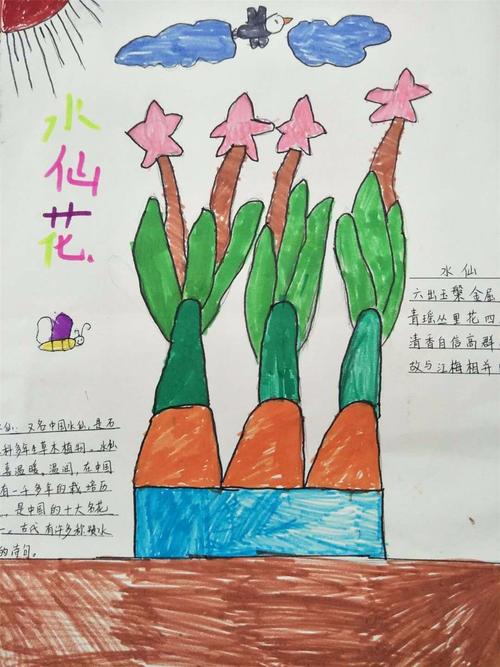 书法毛笔字作品王竹君邢天瑞三年级四年级五年级六年级手抄报水仙花