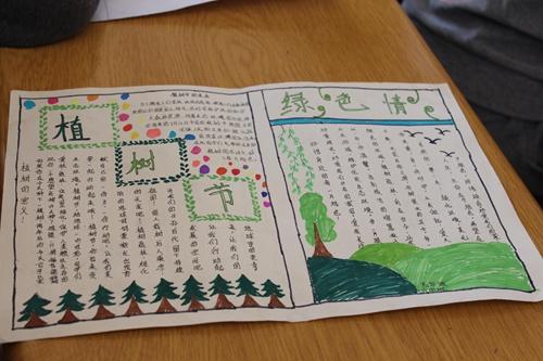 建设植物角美化教室五六年级学生以植树节为主题开展手抄报
