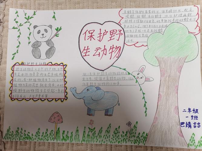 野生动物朋友垦利区三小二年级一班手抄报展示 写美篇 每一个生命都
