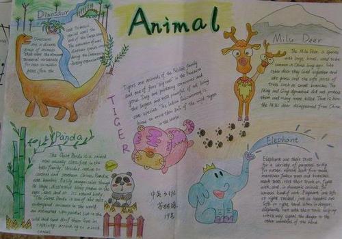 三年级我喜爱的动物英语手抄报