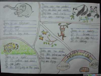 七年级英语动物手抄报 与动物有关英语手抄报
