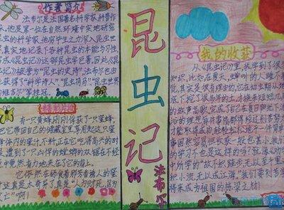 四年级下册昆虫记手抄报 四年级下册手抄报