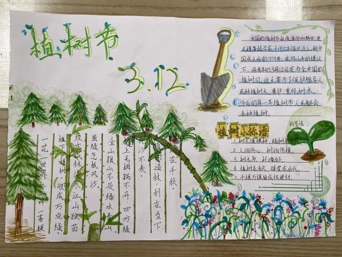小学六年级3月12日植树节的手抄报