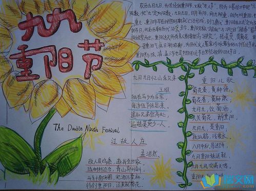  文章内容  小学生重阳节手抄报   重阳节的传统习俗有登高赏菊