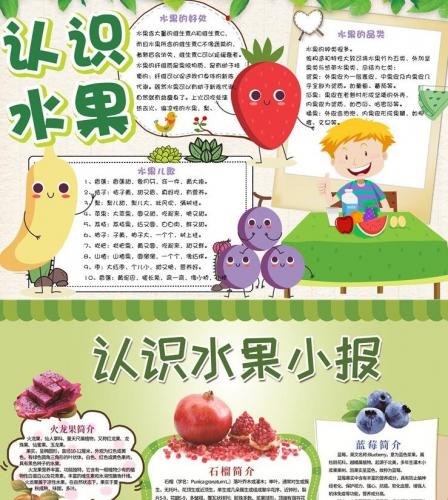 水果与蔬菜的手抄报 英语水果手抄报