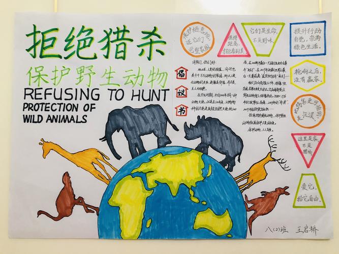 书写《禁止猎杀食用野生动物》倡议书可用同主题的美篇或手抄报