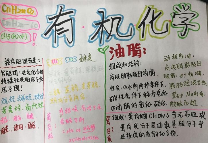 徐晓辉博山区实验中学2017级19班梳理有机化学知识点手抄报