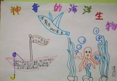 我眼中的中国海青岛南京路小学海洋教育系列活动海洋知识手抄报分享会