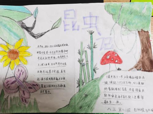 惠济六中书香四溢读书分享绘制《昆虫记》手抄报