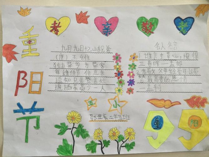 同学们制作手抄报学习重阳节的来历习俗表达对父母长辈的感恩的手抄