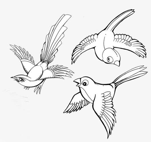 关键词  卡通手绘飞翔的小鸟简笔画鸟