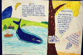 愿望瓶蓝鲸手抄报全是画关于保护蓝鲸的手抄报英语关于鲸鱼的手抄报