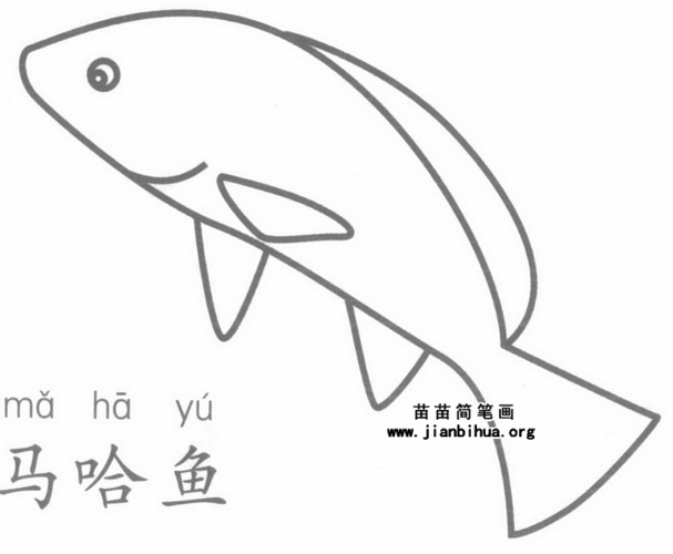 马林鱼的画法图片