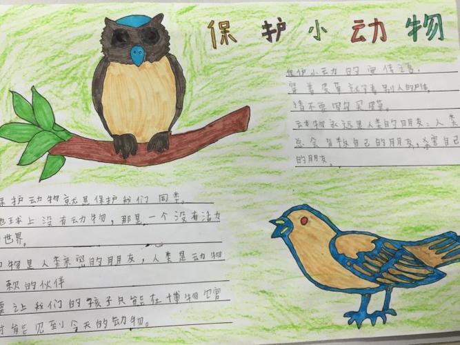 小二年级一班手抄报展示关爱野生动物手抄报我的动物朋友手抄报我和