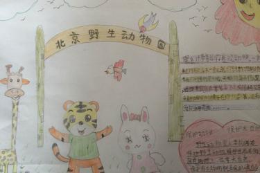 动物园手抄报动物园手抄报关于北京动物园的手抄报 关于动物的手抄报