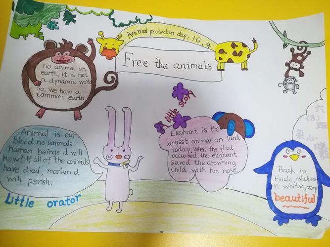 人民路小学六8班保护动物英语海报手抄报展