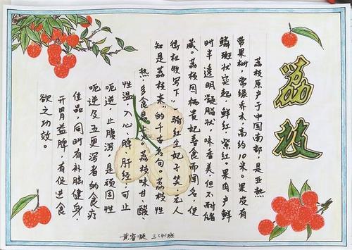 画荔枝文化手抄报一起画水彩荔枝熟了少儿绘画作品铅笔画-美味的荔枝