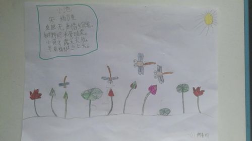 美达菲小学部一年一班同学制作古诗《小池》手抄报展现孩子们眼中的