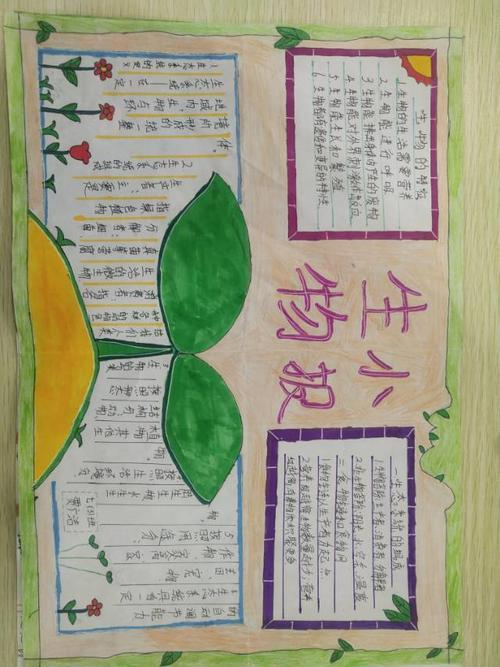 生物手抄报主题内容《生物圈中的绿色临夏县三角初级中学七年级生物手