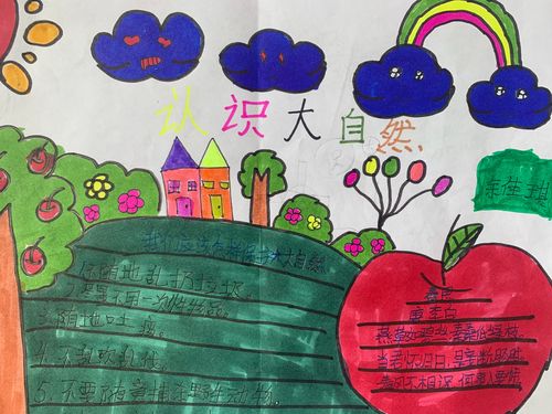 灞桥区新建小学四年级认识大自然手抄报作品赏