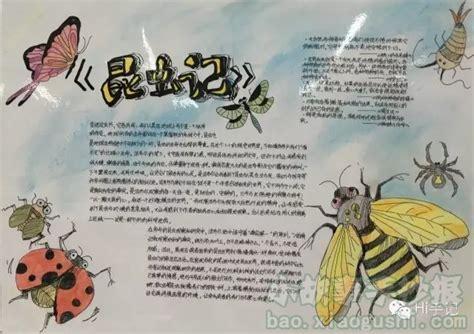 昆虫记关于圣甲虫的手抄报昆虫记手抄报